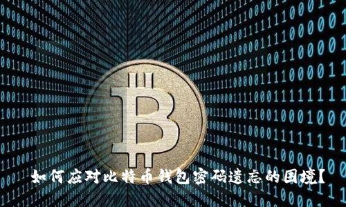 如何应对比特币钱包密码遗忘的困境?