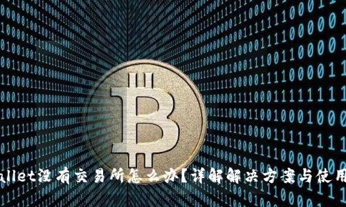 TPWallet没有交易所怎么办？详解解决方案与使用指南