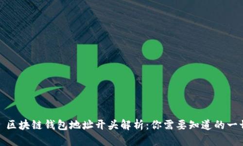 : 区块链钱包地址开头解析：你需要知道的一切