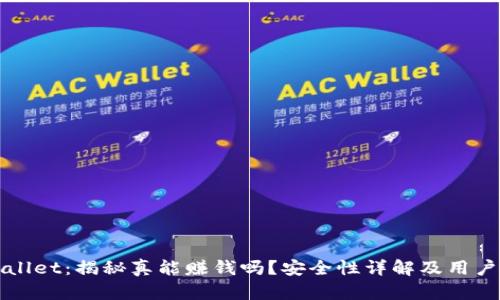 TPWallet：揭秘真能赚钱吗？安全性详解及用户指南