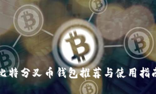比特分叉币钱包推荐与使用指南