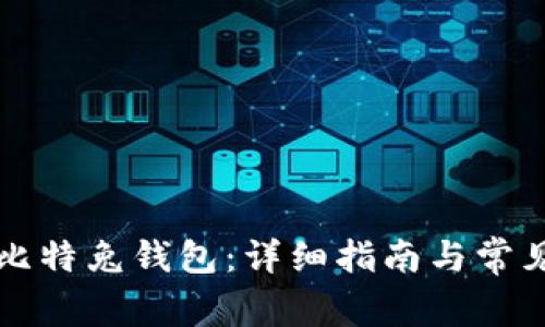 如何注册比特兔钱包:详细指南与常见问题解析