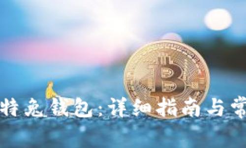 如何注册比特兔钱包:详细指南与常见问题解析