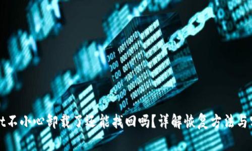 TPWallet不小心卸载了还能找回吗?详解恢复方法与实用技巧