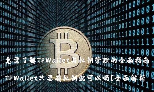 急需了解TPWallet与私钥管理的全面指南
TPWallet只要有私钥就可以吗?全面解析