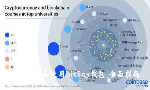 如何下载和使用BitPay钱包:全面指南