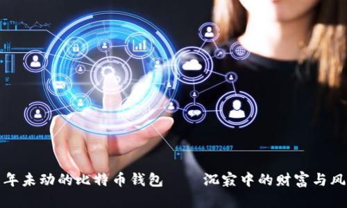 十年未动的比特币钱包——沉寂中的财富与风险