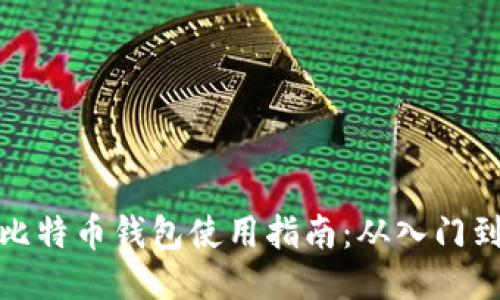 大陆比特币钱包使用指南:从入门到精通