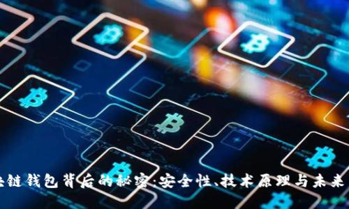 区块链钱包背后的秘密:安全性、技术原理与未来发展