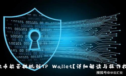 Hit币能否提现到TP Wallet?详细解读与操作指南
